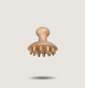 El hongo de la maderoterapia