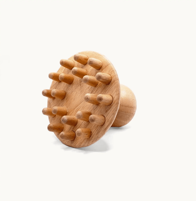 Le champignon madérothérapie 6 grand champignon