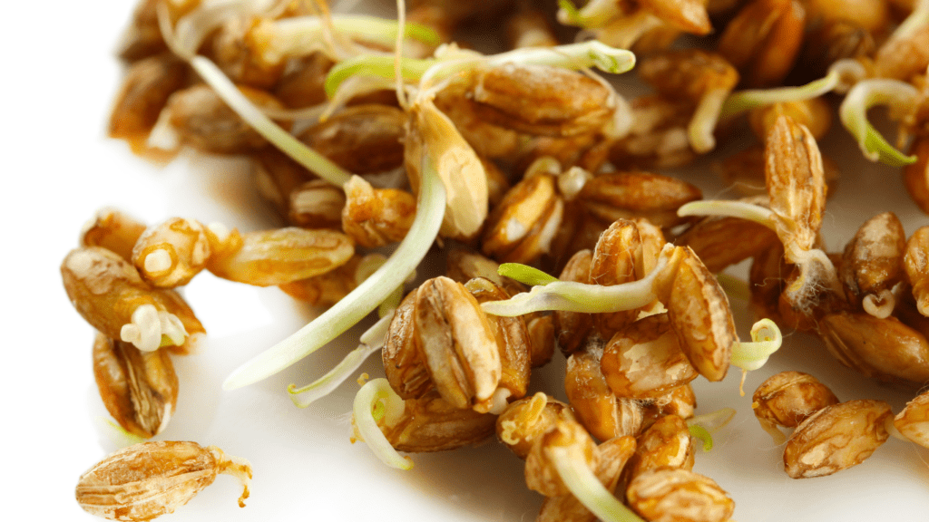 Aceite anticelulítico de germen de trigo