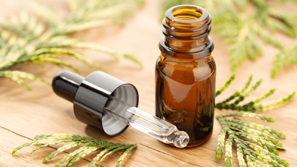 cedro ventosa aceite celulitis