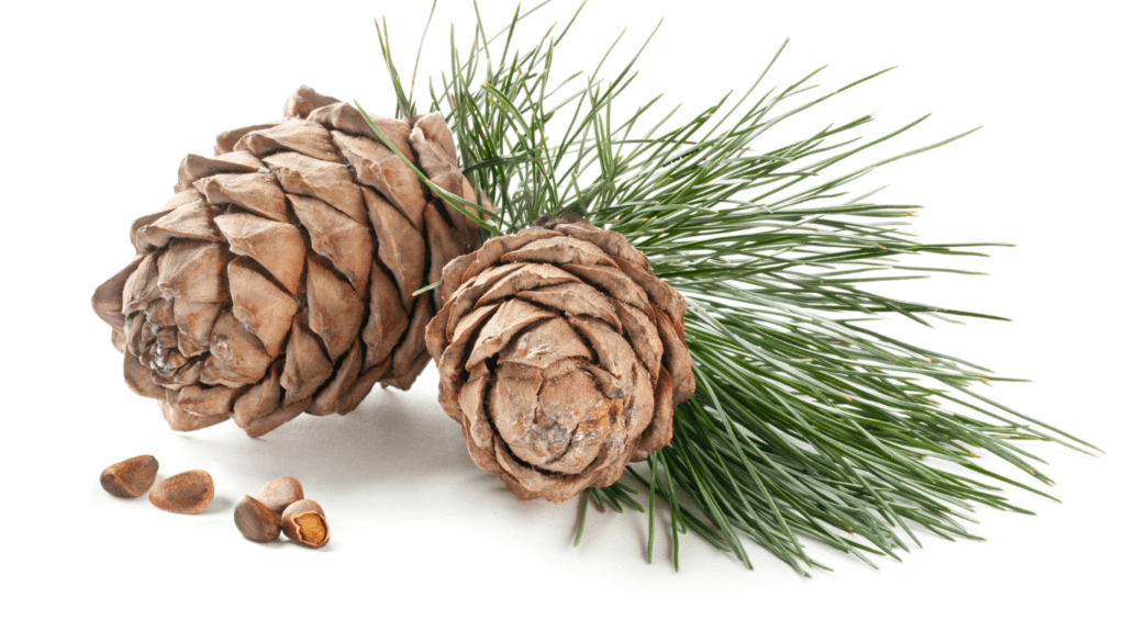 aceite para ventosas celulitis ciprés