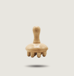 champignon massage madérothérapie