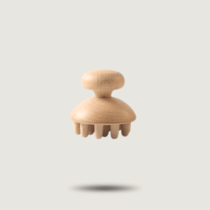 Le champignon madérothérapie