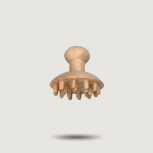 Le champignon madérothérapie