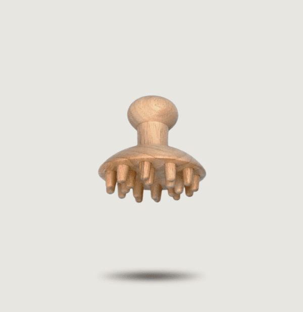 Le champignon madérothérapie