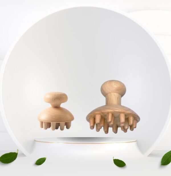 grand et petit champignon madérothérapie