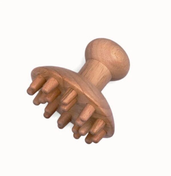 grand champignon
