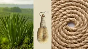Comment Utiliser la Brosse Sisal et Réaliser un Drainage Lymphatique pour un Corps Tonifié