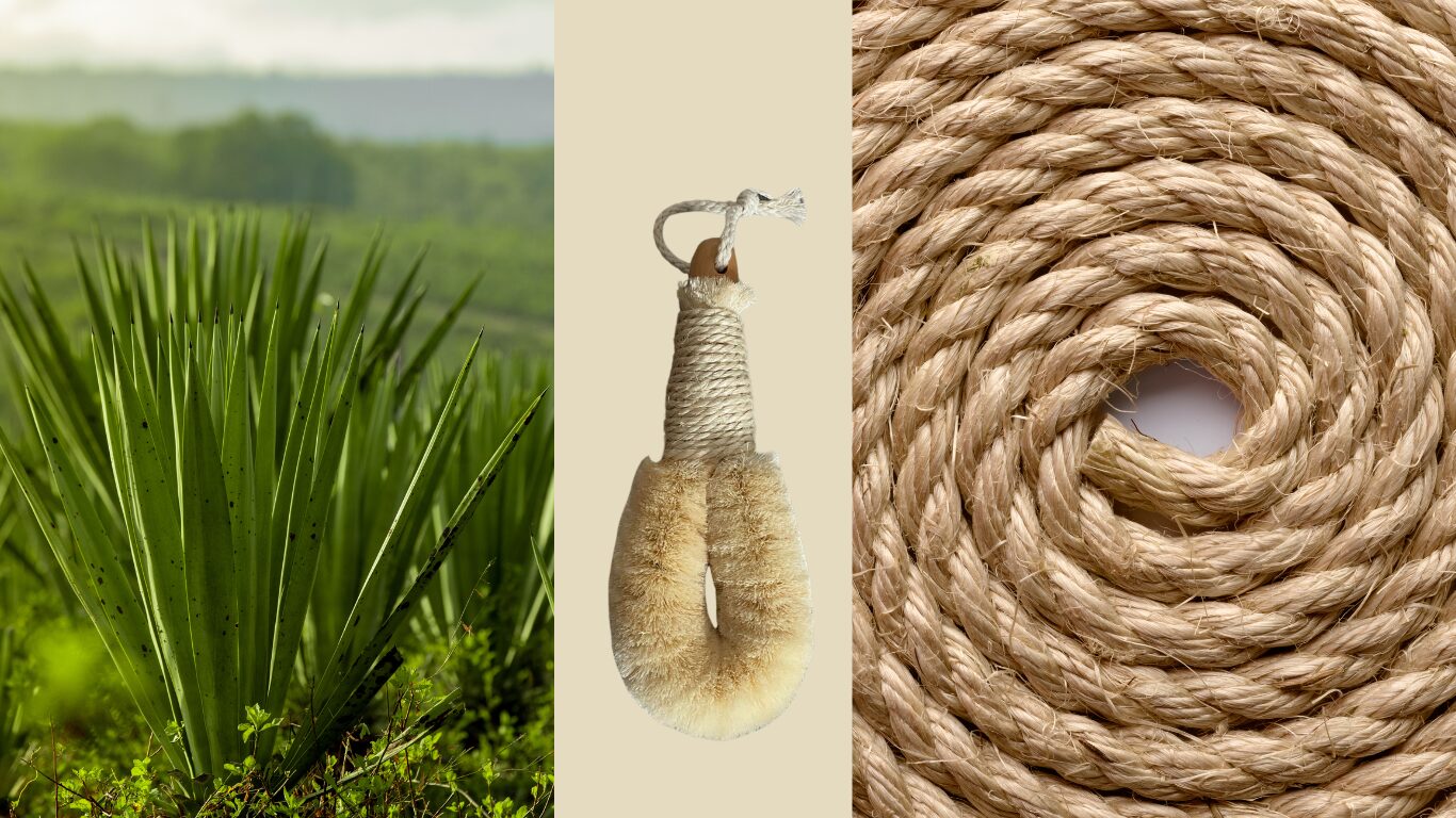 Comment Utiliser la Brosse Sisal et Réaliser un Drainage Lymphatique pour un Corps Tonifié