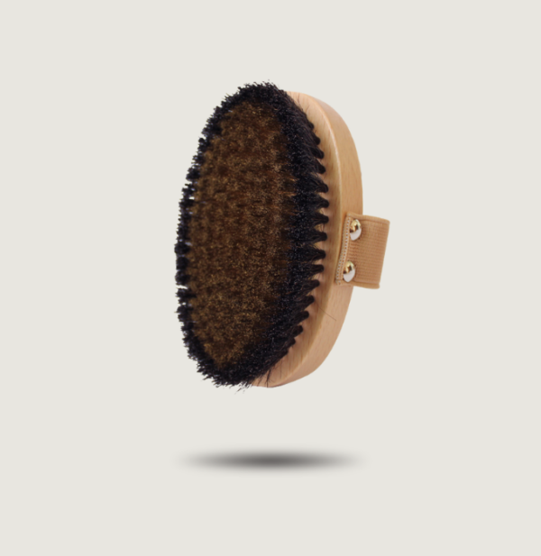 Photo de la brosse brossage à sec