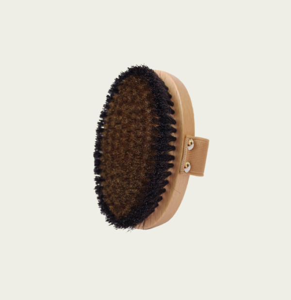 Photo de la brosse pour cellulite que l'on peut voir distinctement