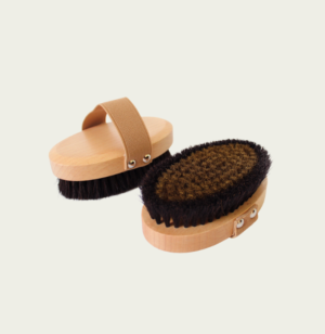 Brosse pour cellulite que l'on peut voir des deux côtés afin de distinguer le manche et les poils