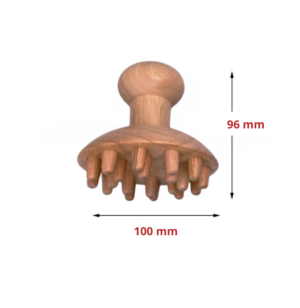 grand champignon madérothérapie