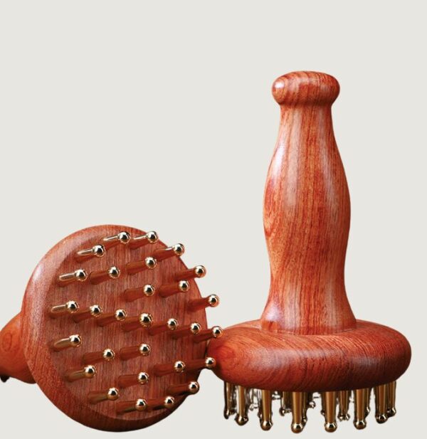 Brosse méridienne en laiton (méridian brush) - Image 2
