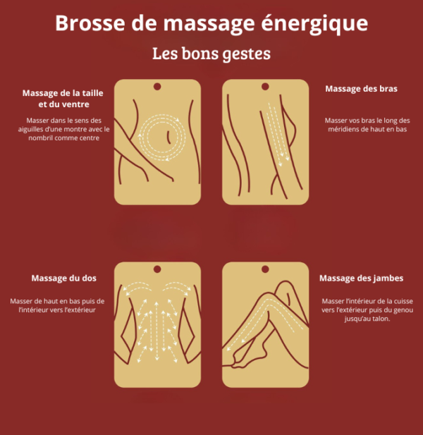Brosse méridienne en laiton (méridian brush) - Image 3