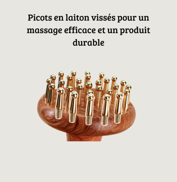 brush for the chaise longue