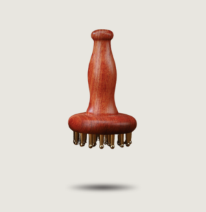 Brosse méridienne en laiton (méridian brush)