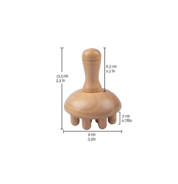 mushroom dimensions massage madero therapy